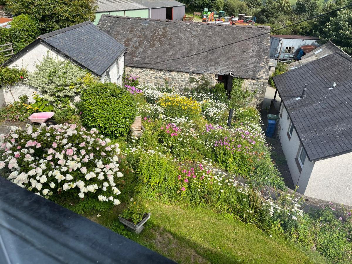 Staylittle Farm Dolgellau Exteriér fotografie